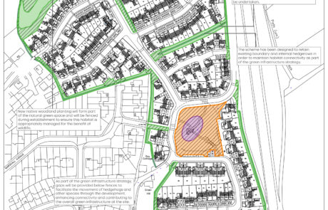 Green Infrastrucutre Strategy for residential development